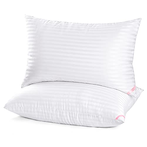 EIUE Hotel Collection Bed Pillows for Sleeping 2 Pack Queen Size,Pillows for Side and Back Sleepers,Super Soft Down Alternative Microfiber Filled Pillows,20 x 30 Inches