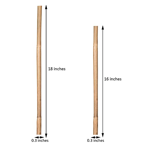 GAGINANG Plant Stakes Natural Garden Bamboo Sticks for Indoor and Outdoor, 20pcs for Tomatoes, Beans, Potted Plants - 18 inches