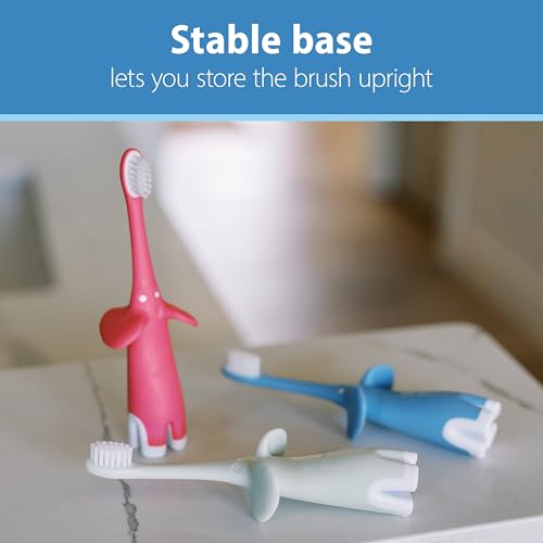 Dr. Brown's Infant-to-Toddler Toothbrush Set, 1.4 Ounce, Pink