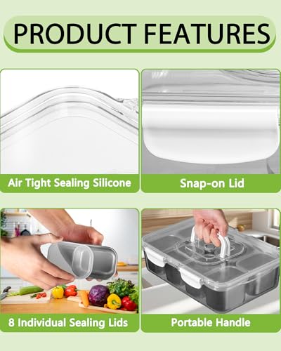 Snackle Box Container, Stainless Steel Divided Serving Tray with Lid and Handle, Large Snack Tray for Fruit Veggie Candy, 8-Compartment Snack Platter for Travel Party Beach Picnic