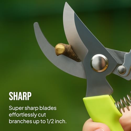 2-Pack Stainless Steel Gardening Scissors, Pruning Shears and Clippers for Gardening