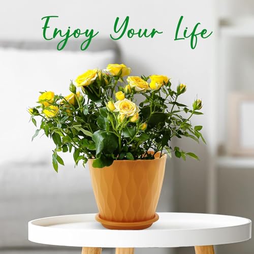 6 inch Plant Pots, 5 Pack Flower Pots Outdoor Indoor, Planters with Drainage Holes and Tray Saucers(Multicolor)