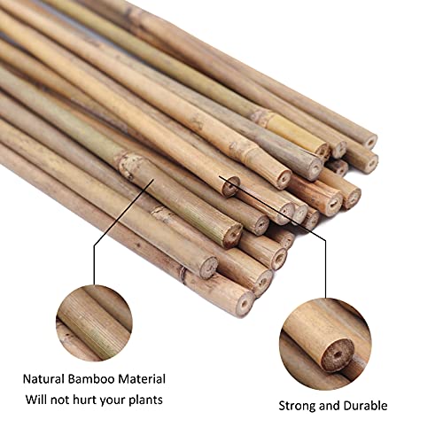 GAGINANG Plant Stakes Natural Garden Bamboo Sticks for Indoor and Outdoor, 20pcs for Tomatoes, Beans, Potted Plants - 18 inches