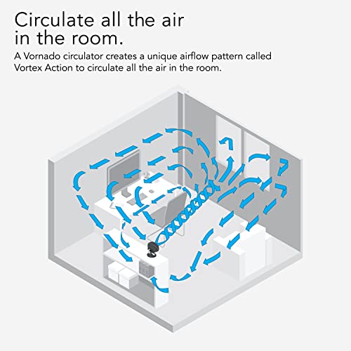 Vornado 160 Personal Air Circulator, Small Fan for Dorm, Desk, and Bedside, Powerful Personal Cooling, 2 Speed Settings, Vortex Air Circulation, Chrome Glide Bar, Multi-Directional Airflow, Black
